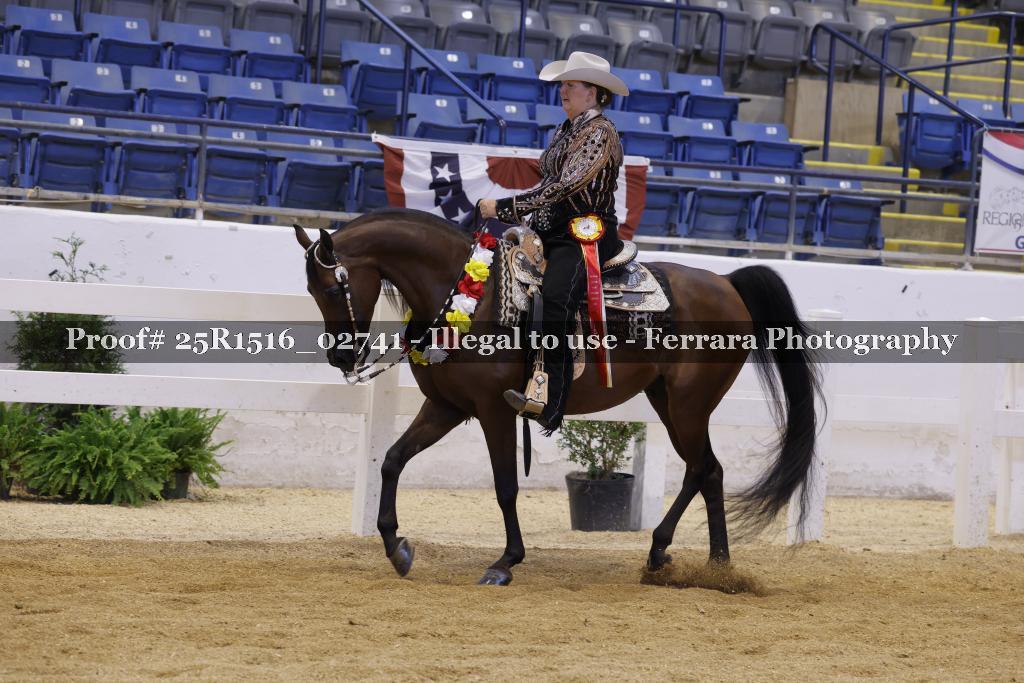 Proof Number 25R1516_02741