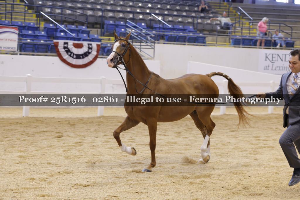 Proof Number 25R1516_02861