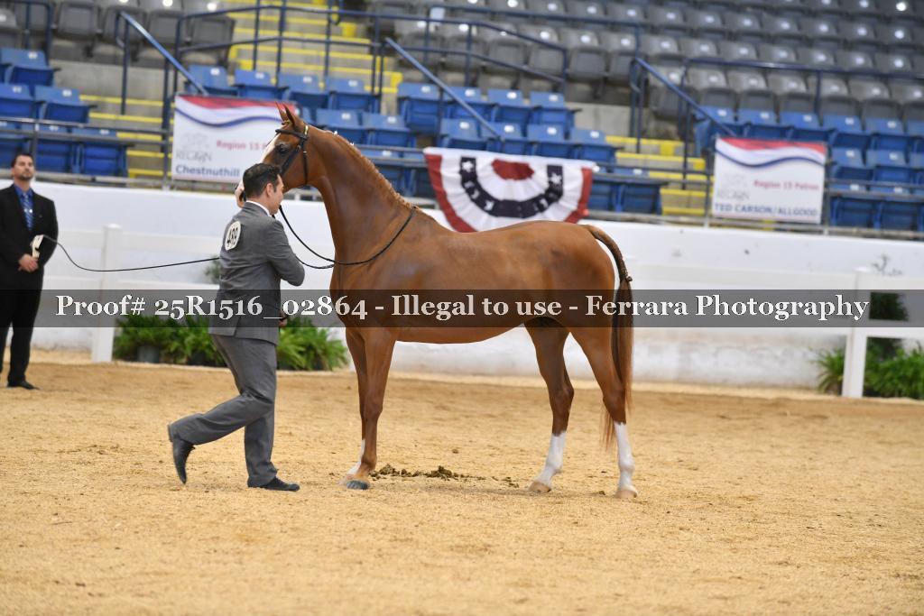 Proof Number 25R1516_02864