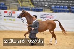 25R1516_02865 thumbnail