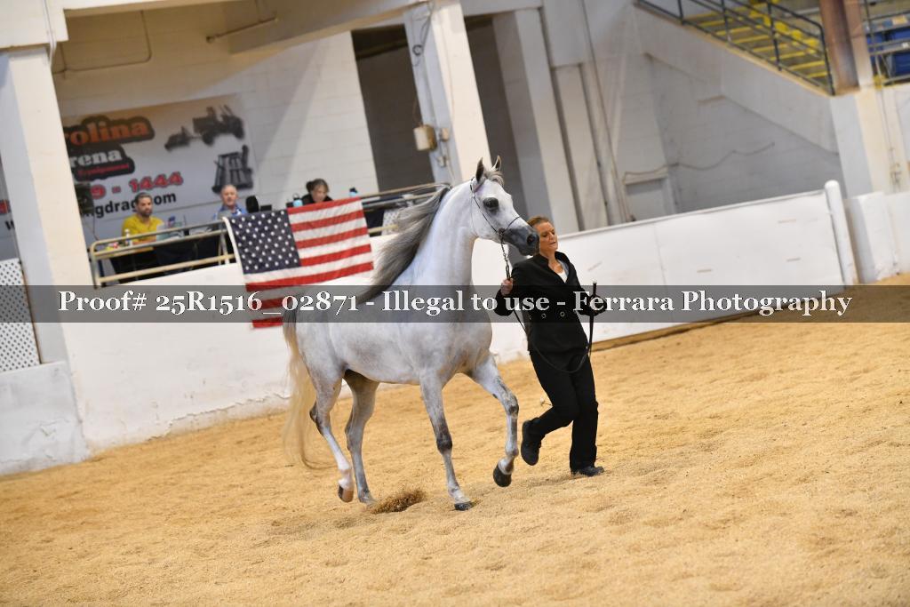 Proof Number 25R1516_02871