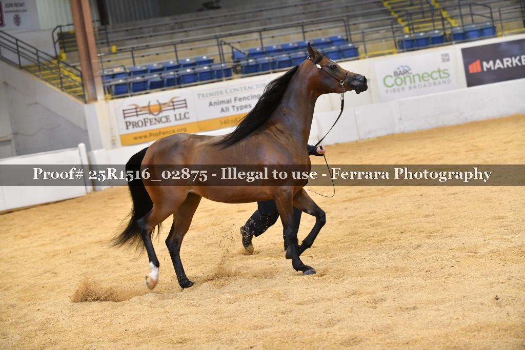 Proof Number 25R1516_02875