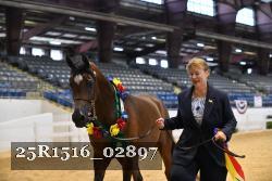 25R1516_02897 thumbnail