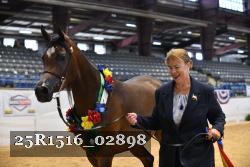 25R1516_02898 thumbnail