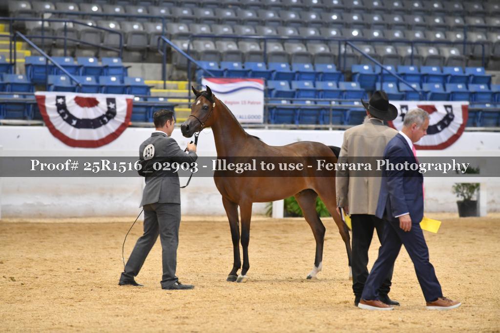 Proof Number 25R1516_02903