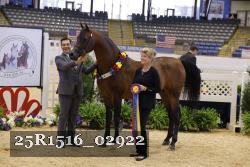 25R1516_02922 thumbnail