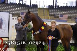 25R1516_02924 thumbnail