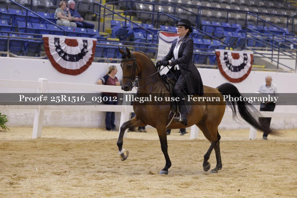 Proof Number 25R1516_03012
