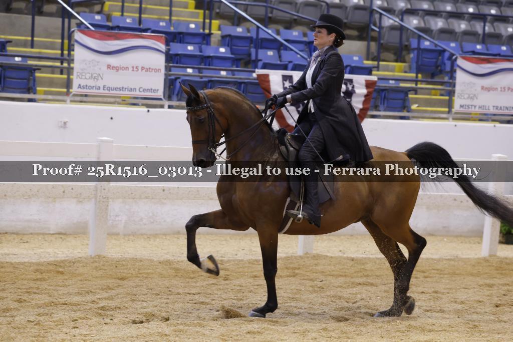 Proof Number 25R1516_03013