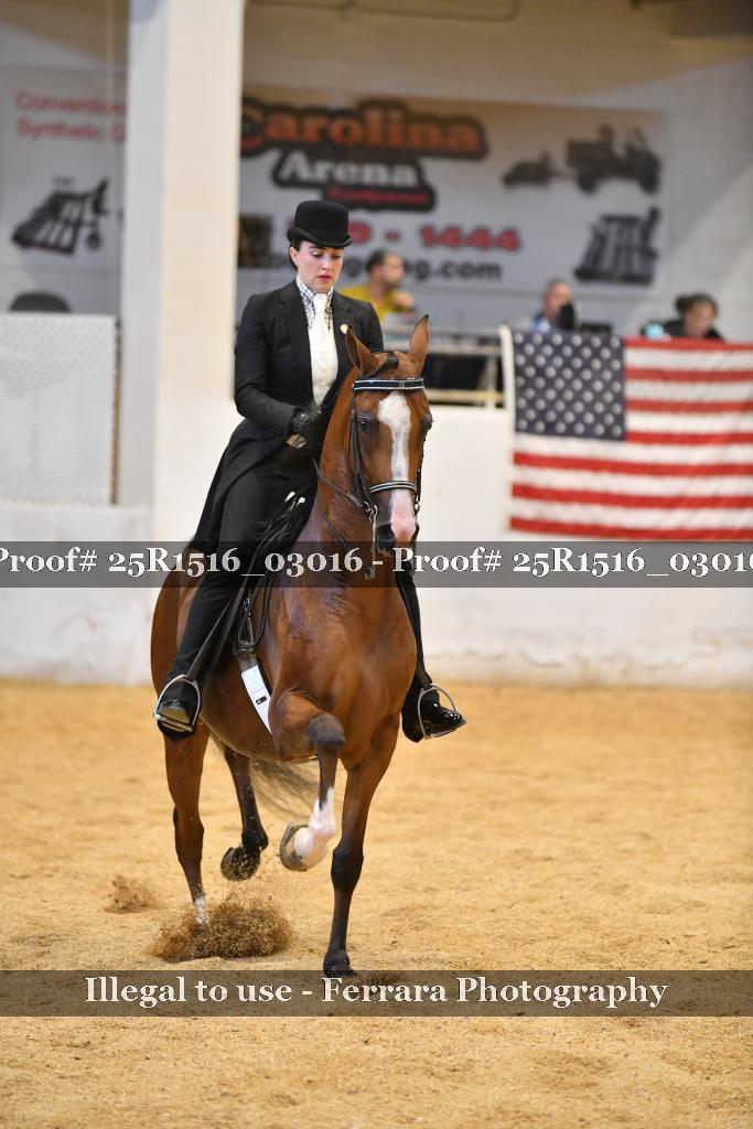 Proof Number 25R1516_03016