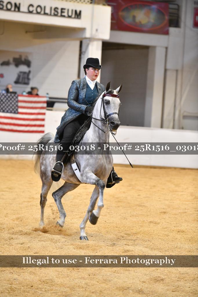 Proof Number 25R1516_03018