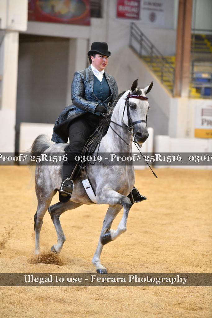 Proof Number 25R1516_03019