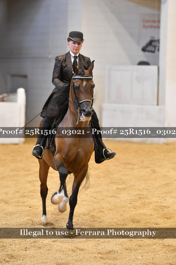 Proof Number 25R1516_03021