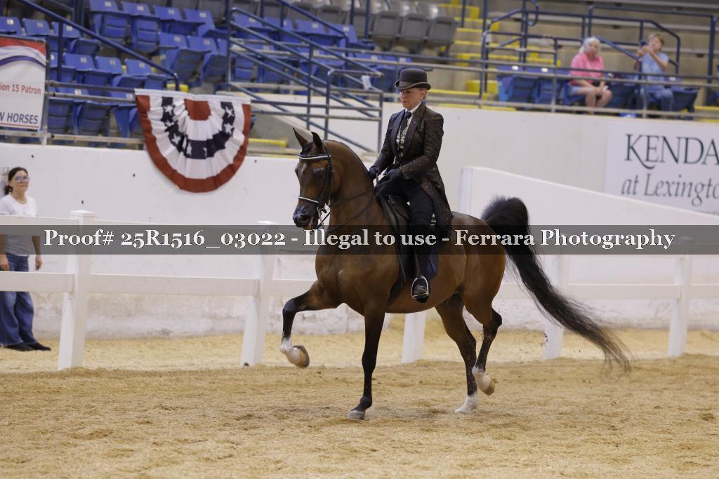 Proof Number 25R1516_03022