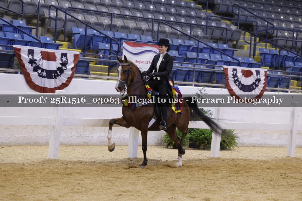Proof Number 25R1516_03063