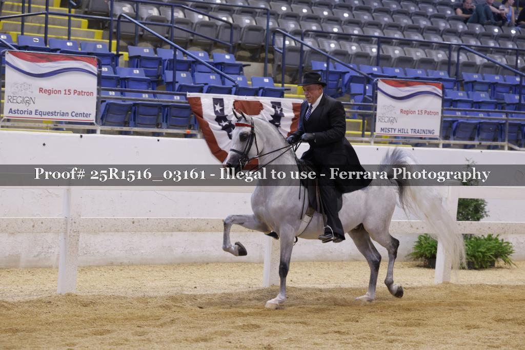 Proof Number 25R1516_03161