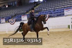 25R1516_03165 thumbnail