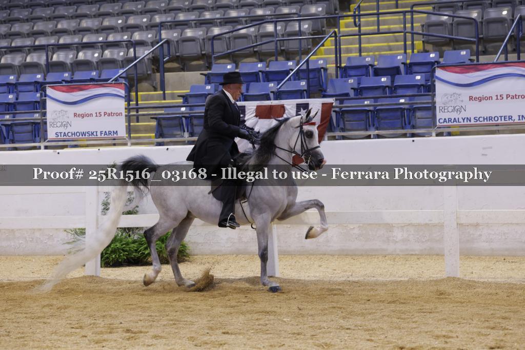 Proof Number 25R1516_03168