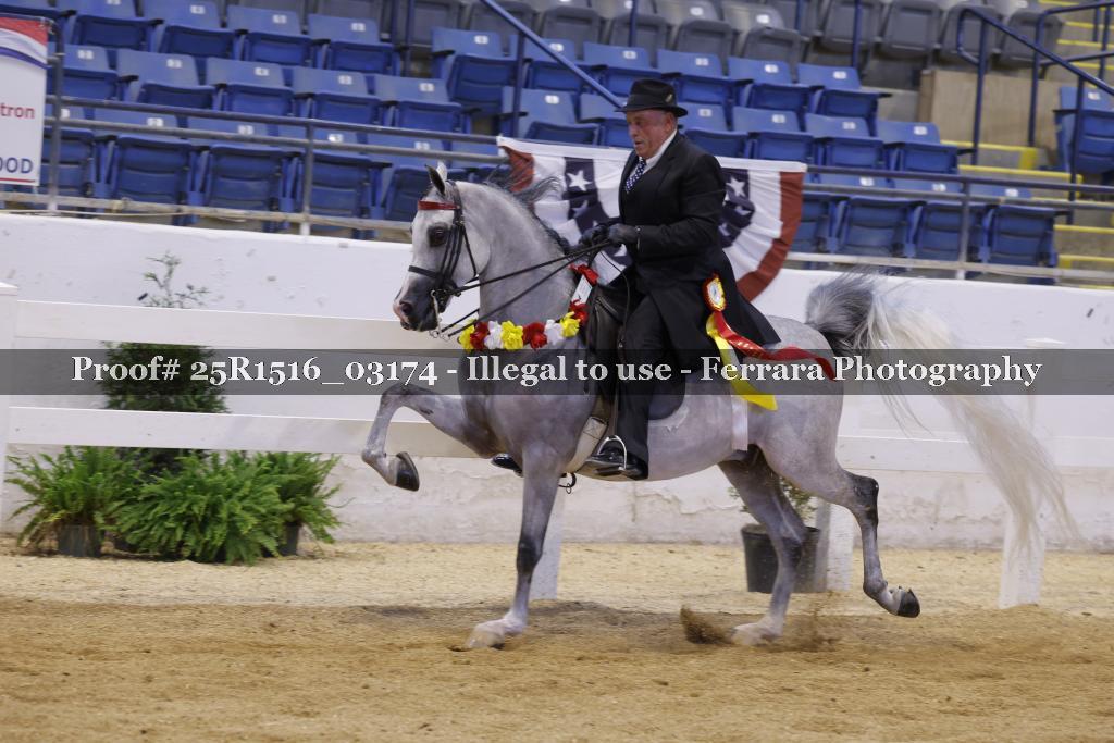 Proof Number 25R1516_03174