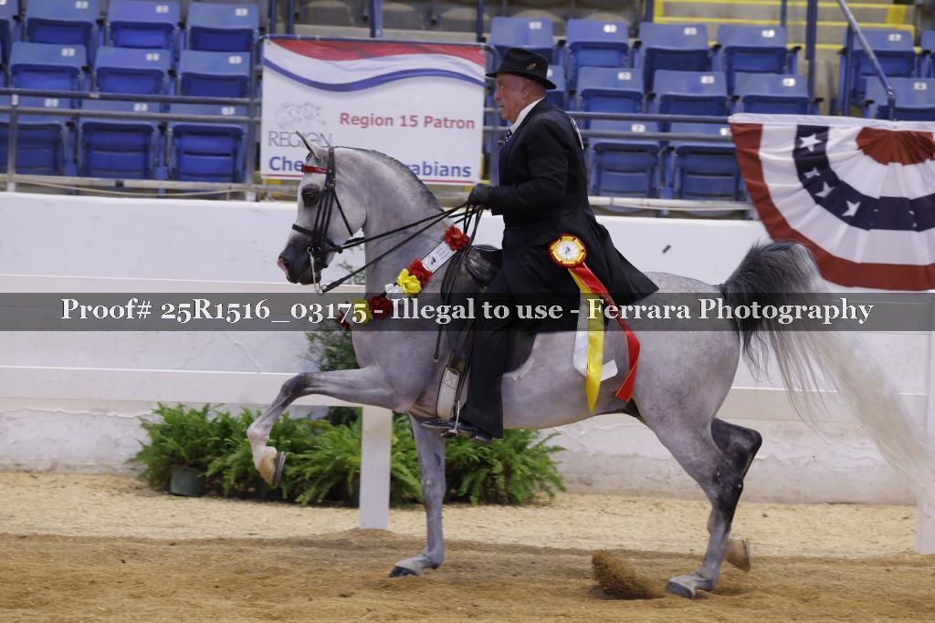 Proof Number 25R1516_03175