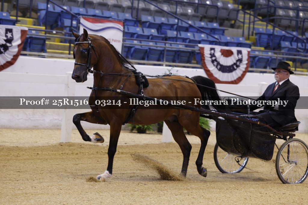 Proof Number 25R1516_03214