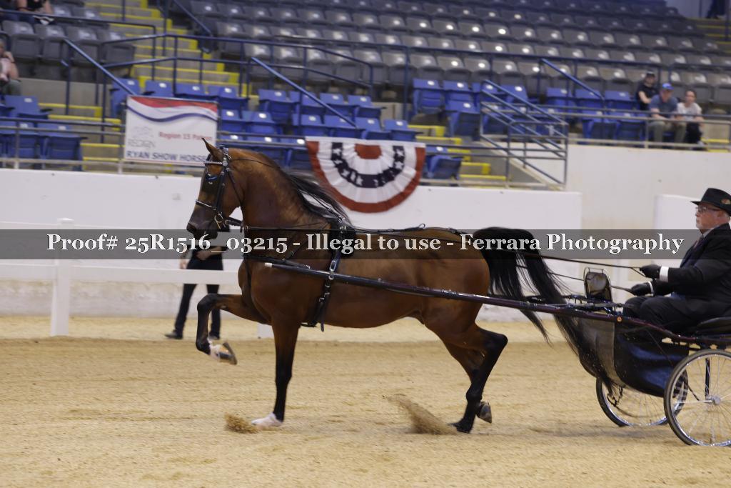 Proof Number 25R1516_03215
