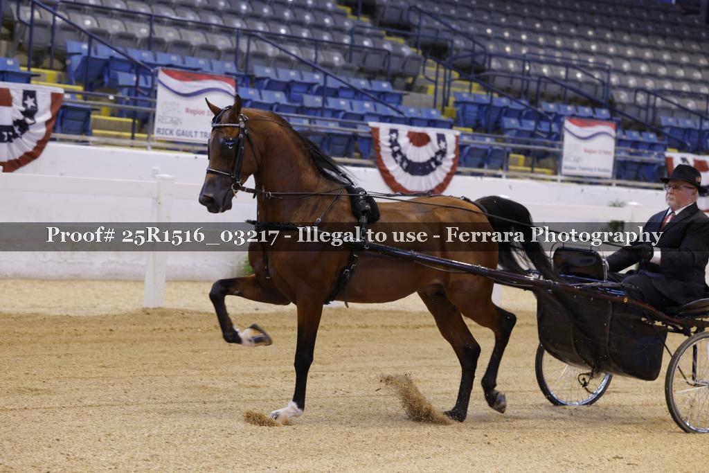 Proof Number 25R1516_03217