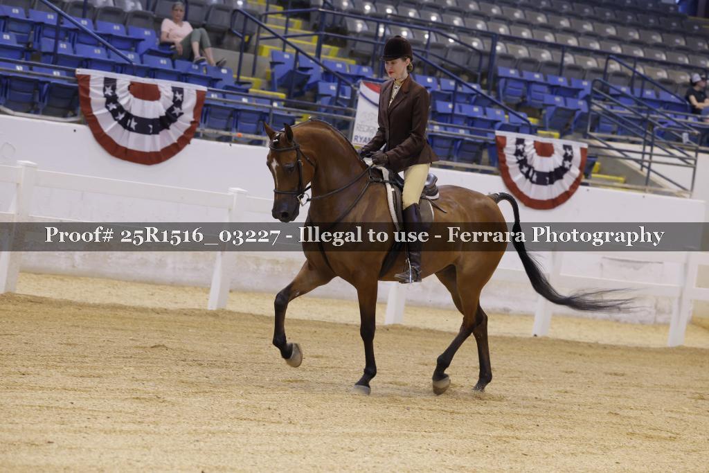 Proof Number 25R1516_03227