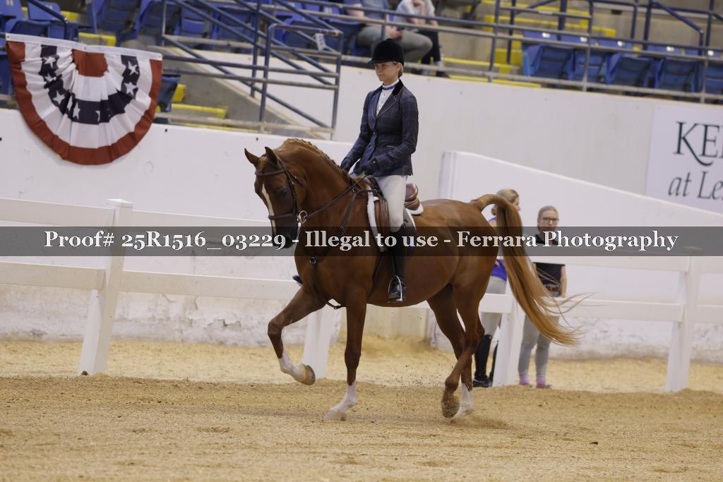 Proof Number 25R1516_03229