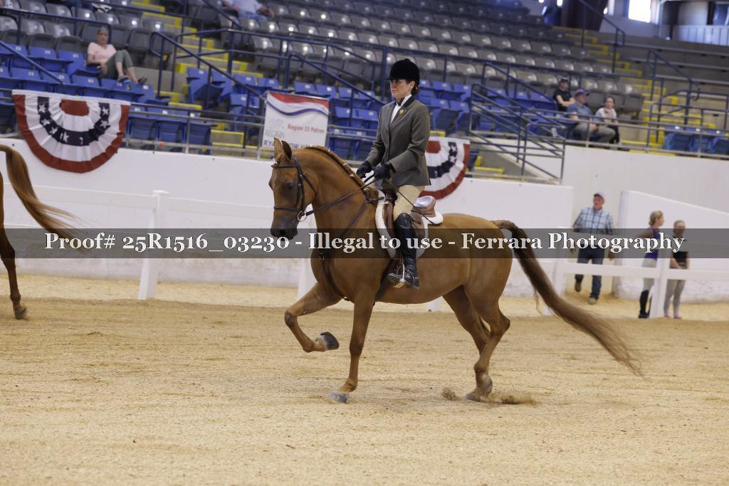 Proof Number 25R1516_03230