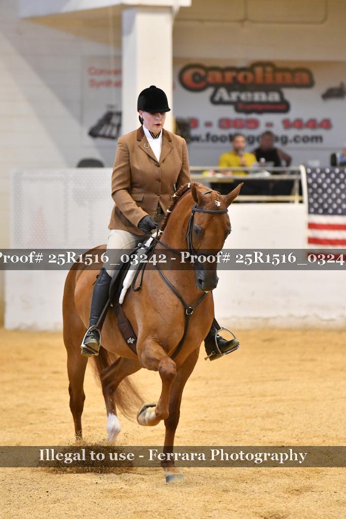 Proof Number 25R1516_03242