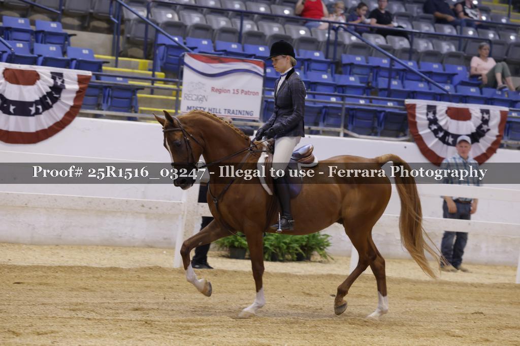 Proof Number 25R1516_03247