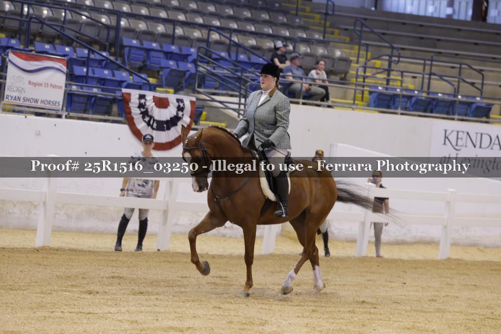Proof Number 25R1516_03250