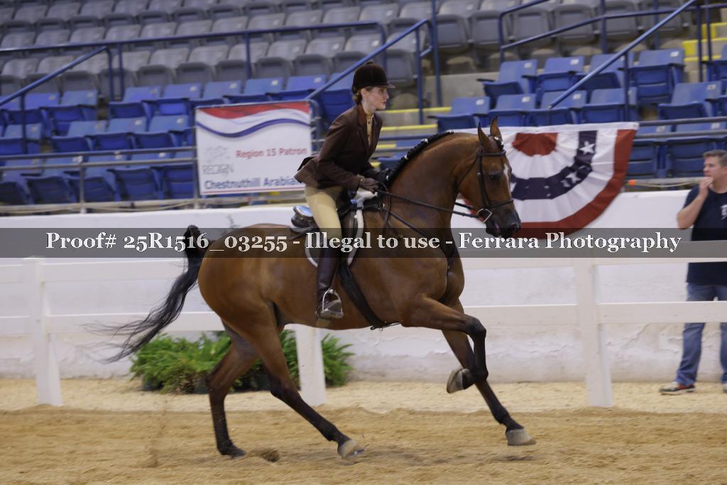 Proof Number 25R1516_03255