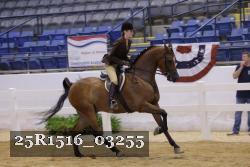 25R1516_03255 thumbnail
