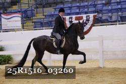 25R1516_03260 thumbnail