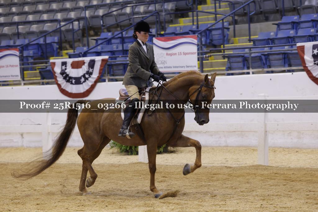 Proof Number 25R1516_03266