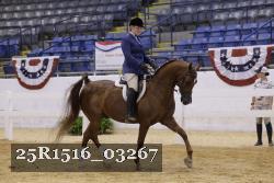 25R1516_03267 thumbnail