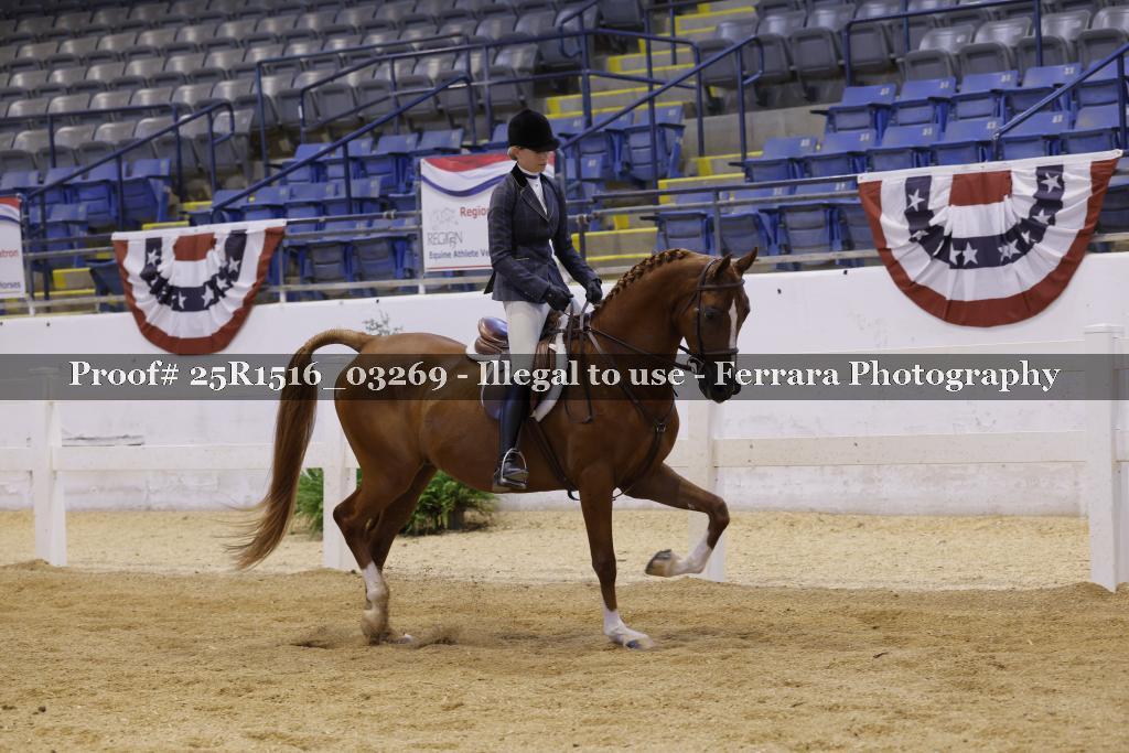 Proof Number 25R1516_03269
