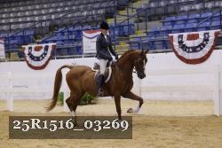 25R1516_03269 thumbnail