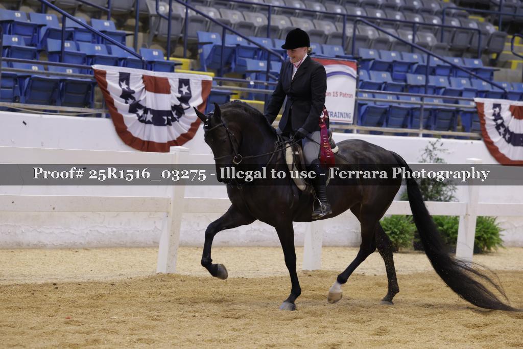 Proof Number 25R1516_03275