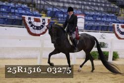 25R1516_03275 thumbnail