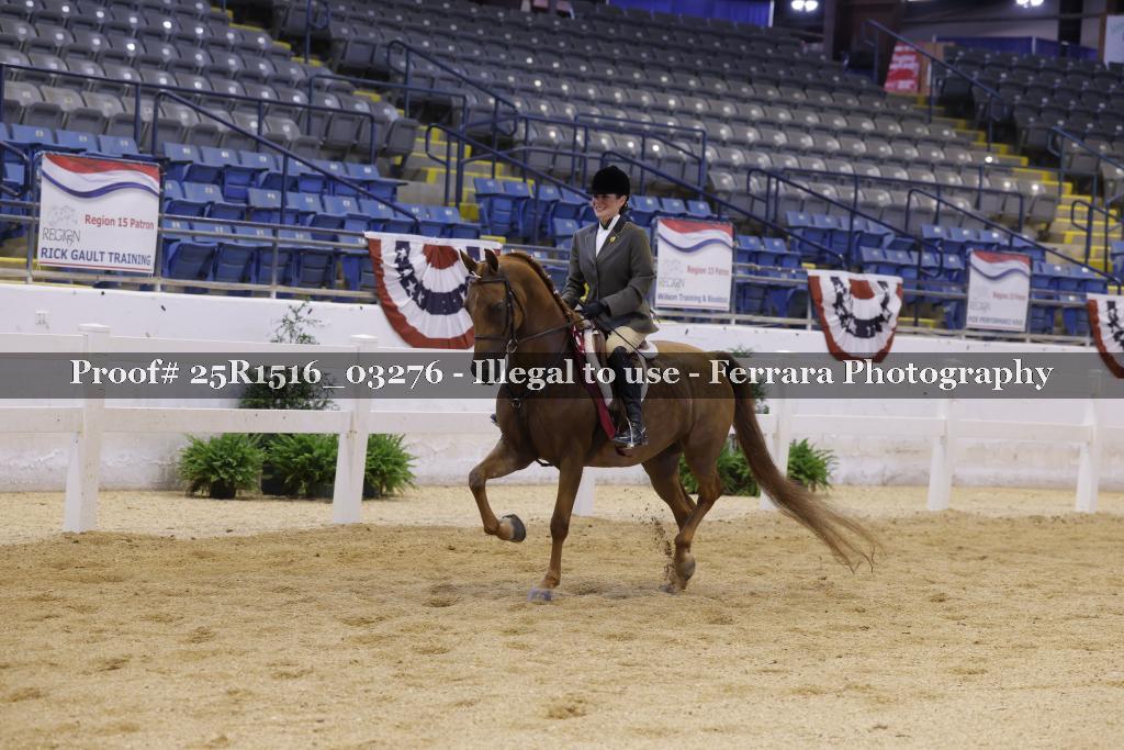 Proof Number 25R1516_03276