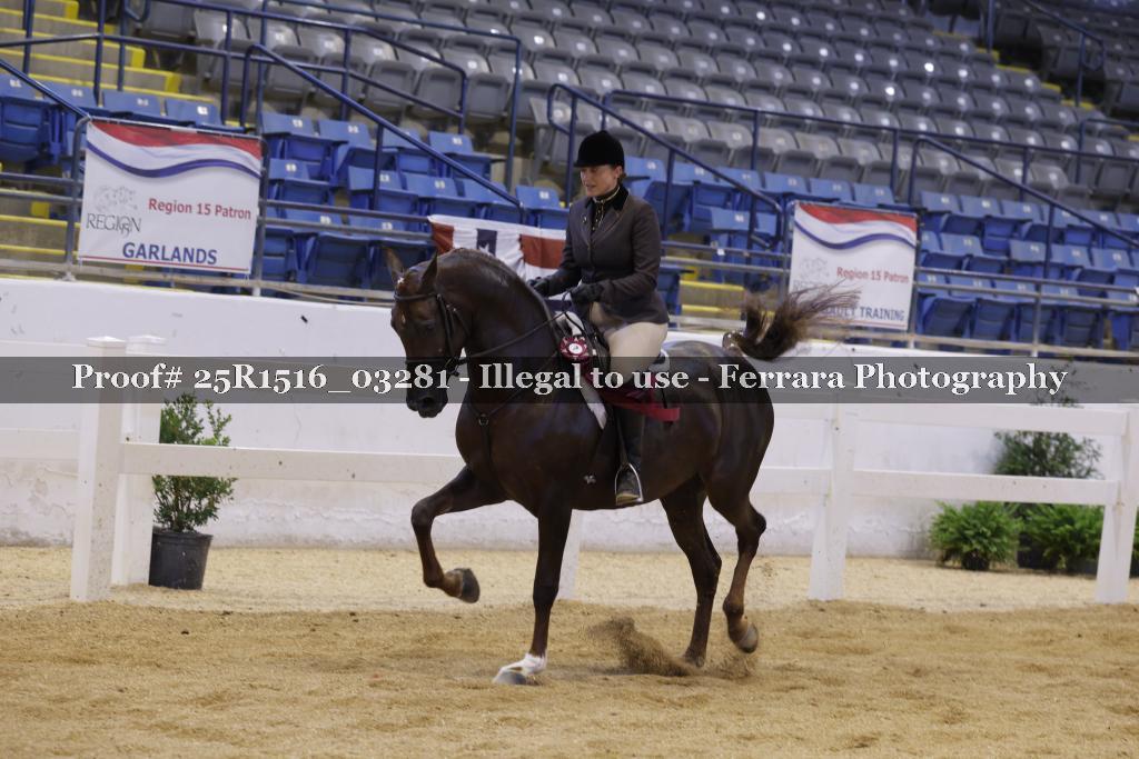 Proof Number 25R1516_03281