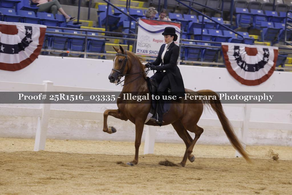 Proof Number 25R1516_03335