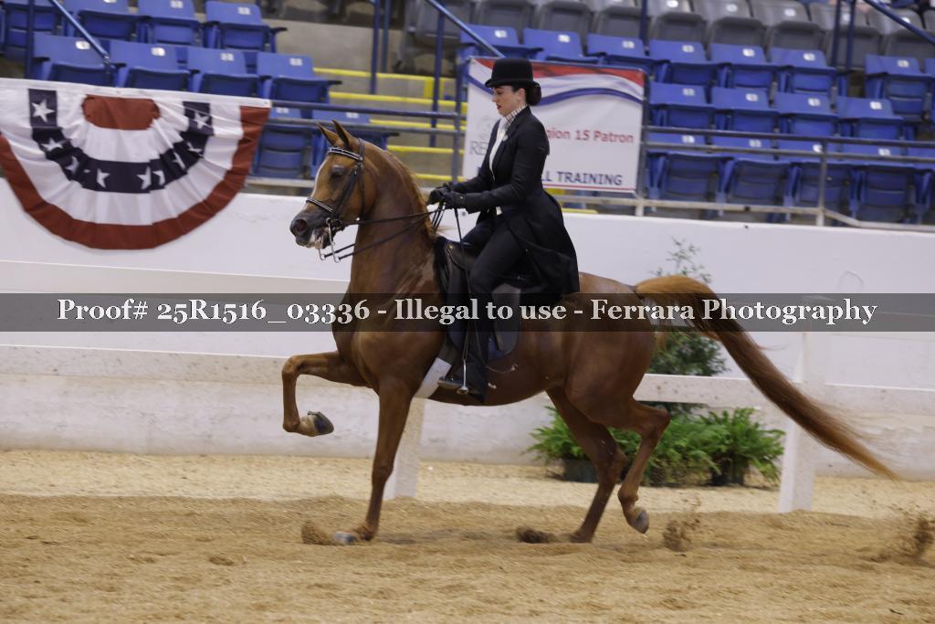 Proof Number 25R1516_03336