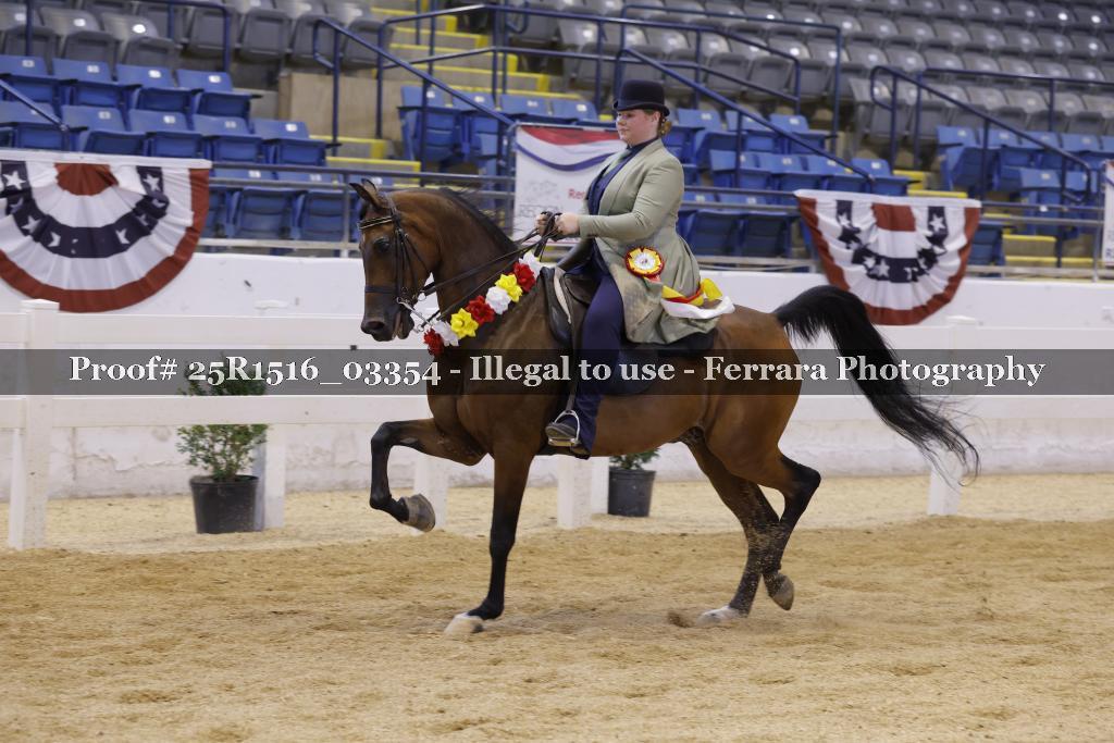 Proof Number 25R1516_03354