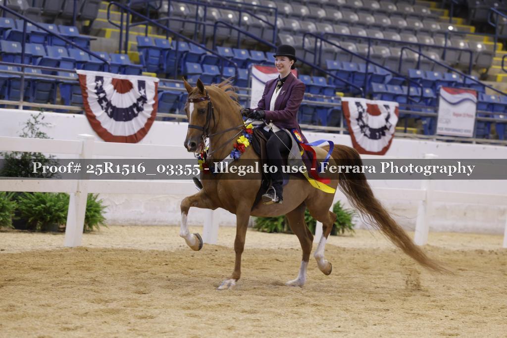 Proof Number 25R1516_03355