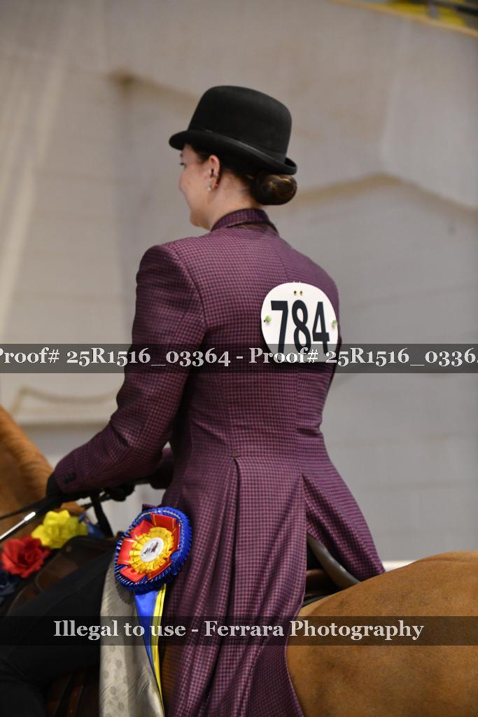 Proof Number 25R1516_03364