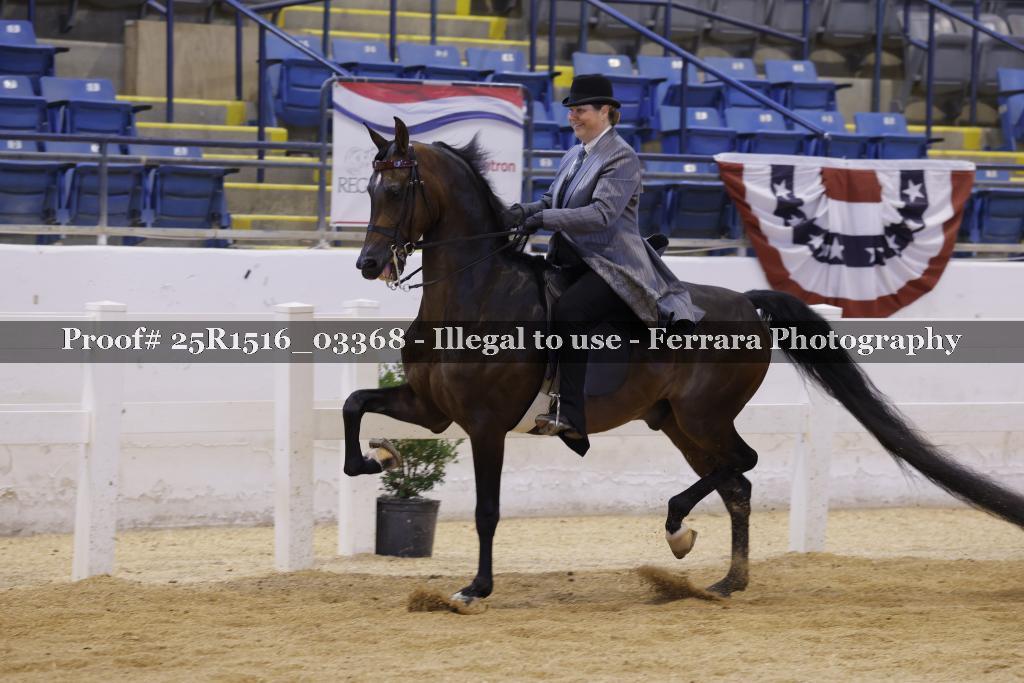 Proof Number 25R1516_03368